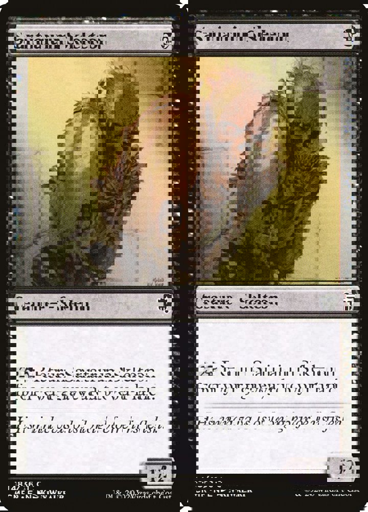 Sanitarium Skeleton