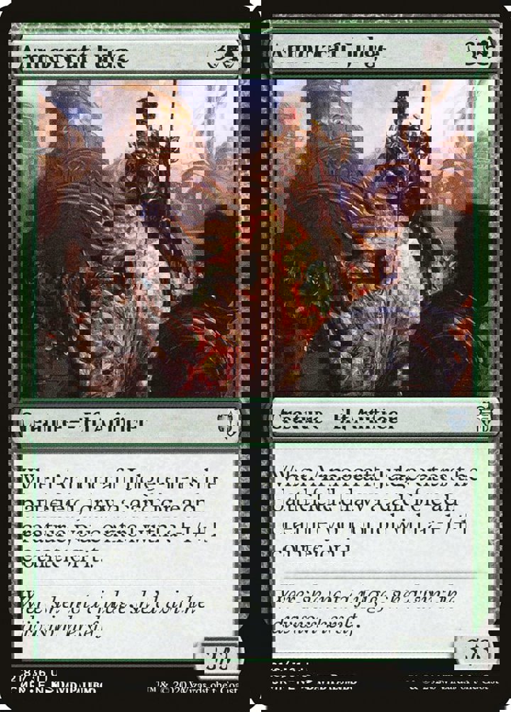 Armorcraft Judge