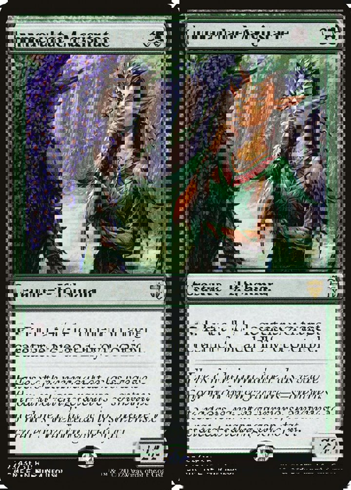 Immaculate Magistrate
