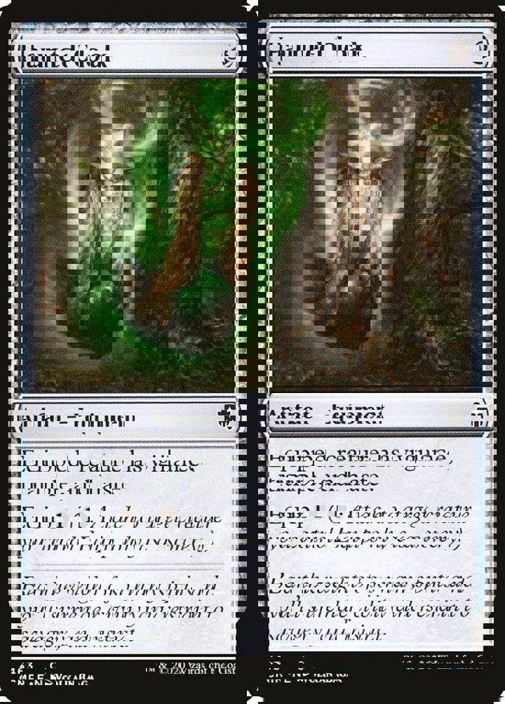 Haunted Cloak