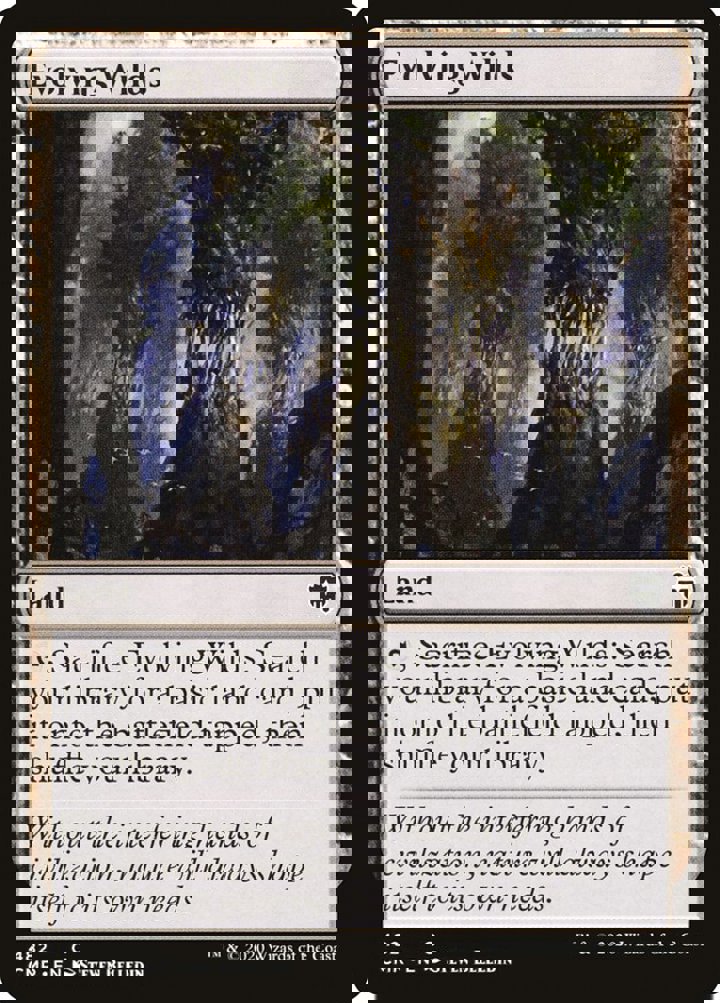 Evolving Wilds