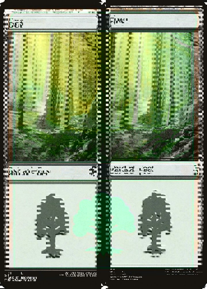 Forest (V.2)
