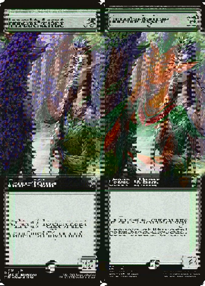 Immaculate Magistrate
