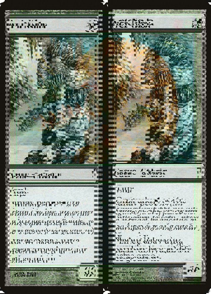 Arctic Nishoba