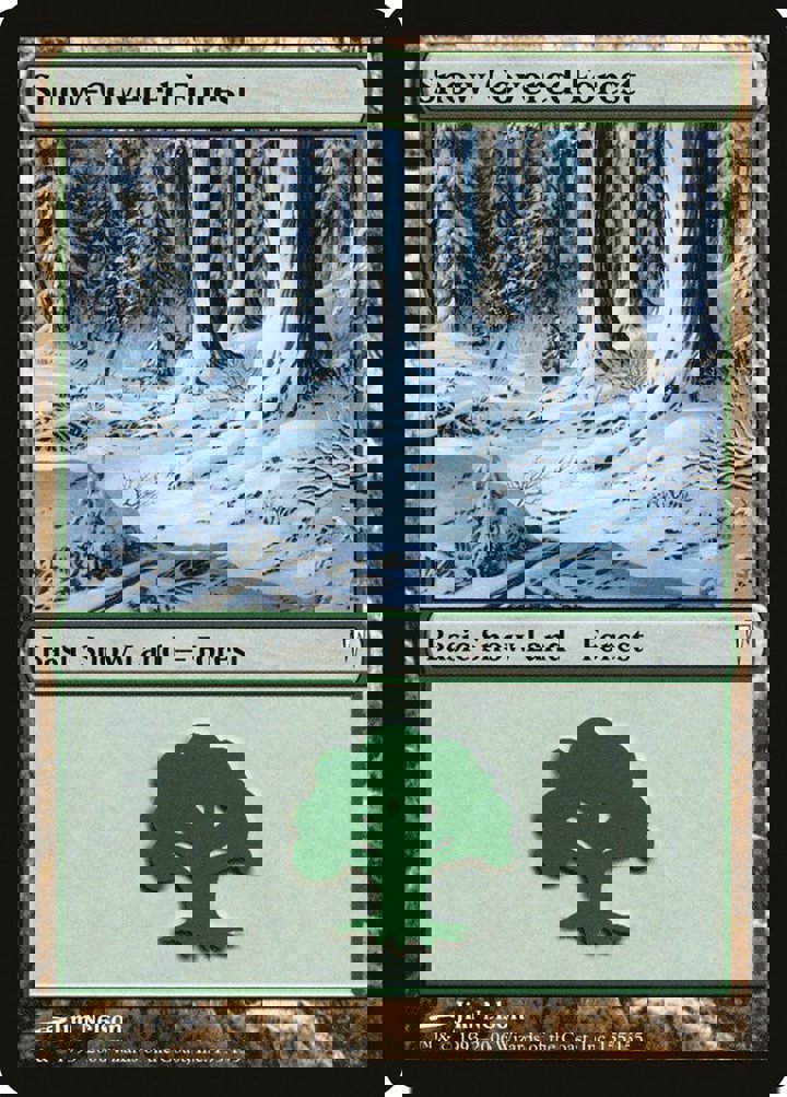 Snow-Covered Forest