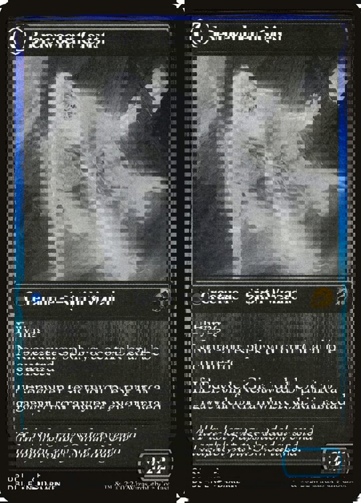 Malevolent Hermit // Benevolent Geist