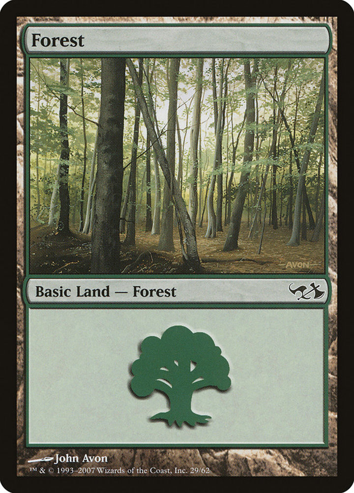 Forest (V.2)