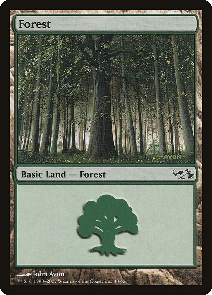 Forest (V.3)