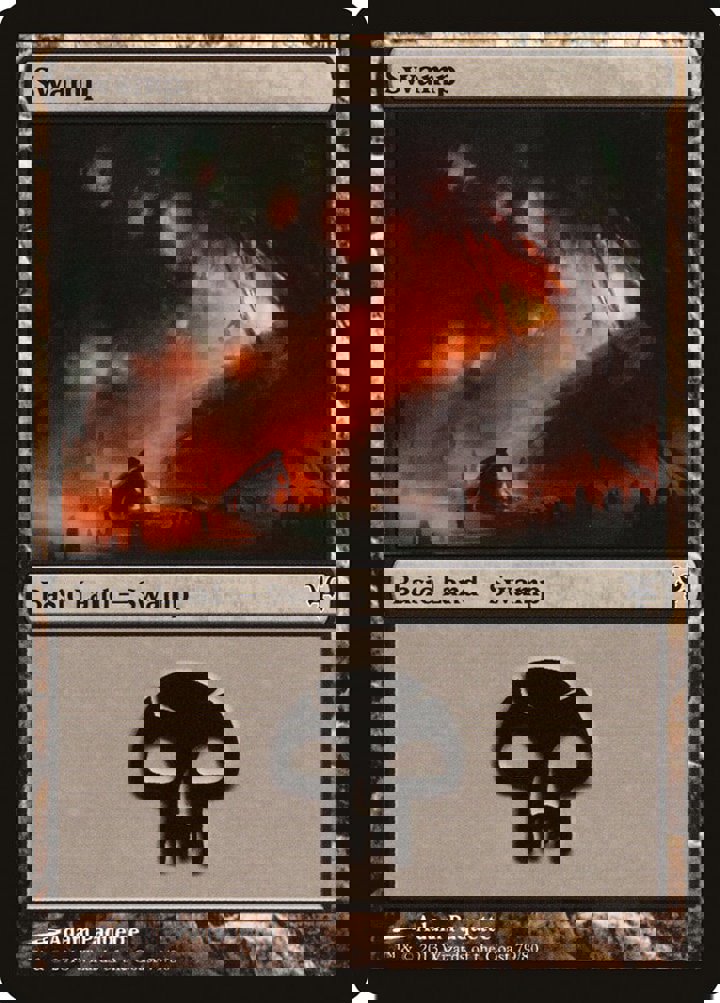 Swamp (V.5)