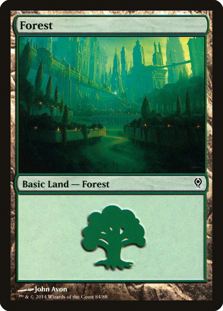 Forest (V.1)