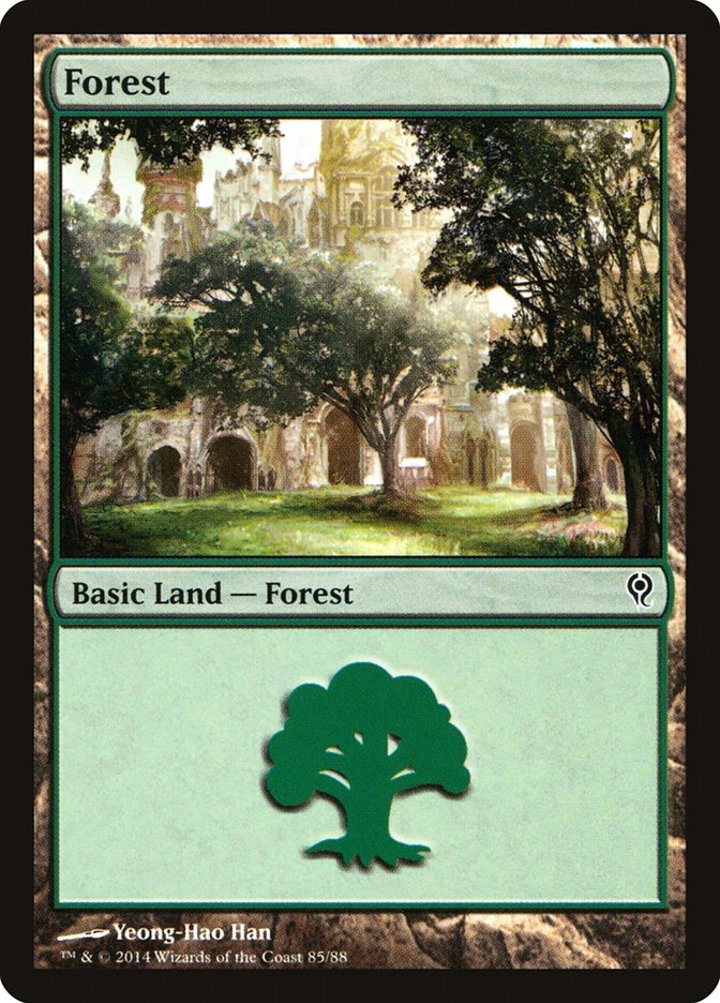 Forest (V.2)