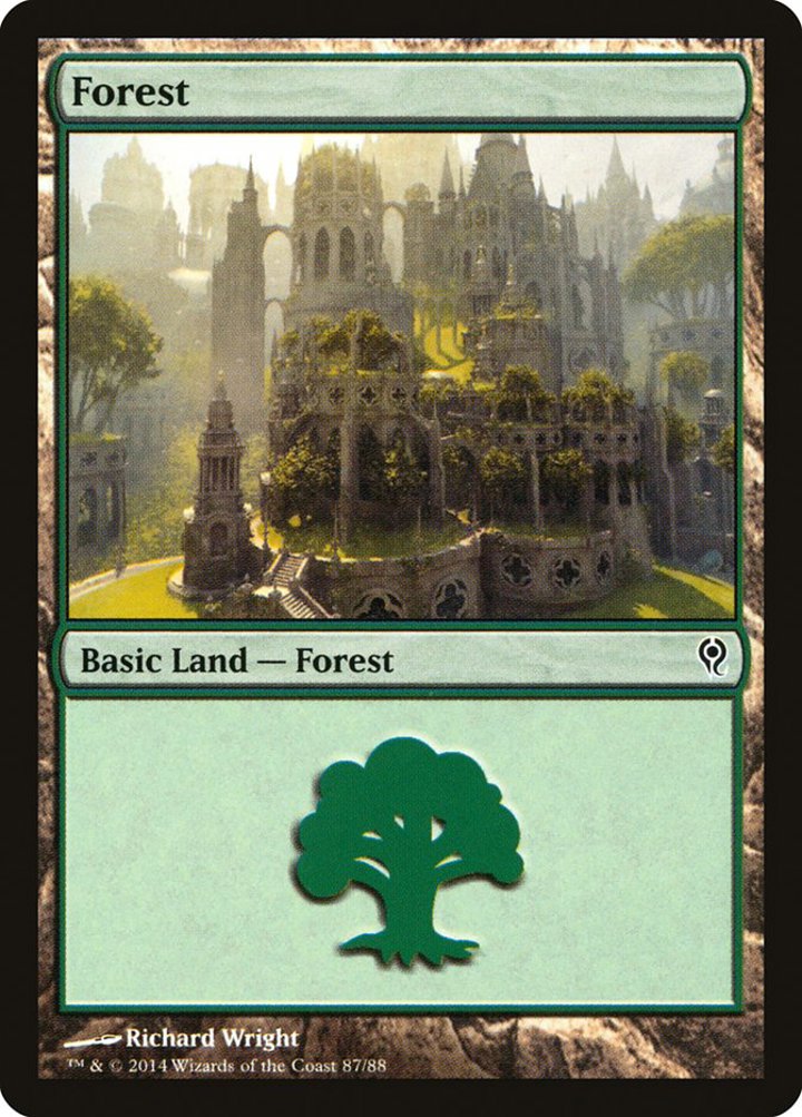Forest (V.4)