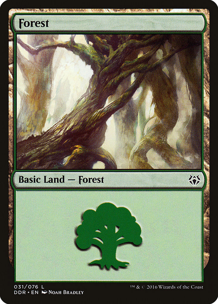 Forest (V.1)