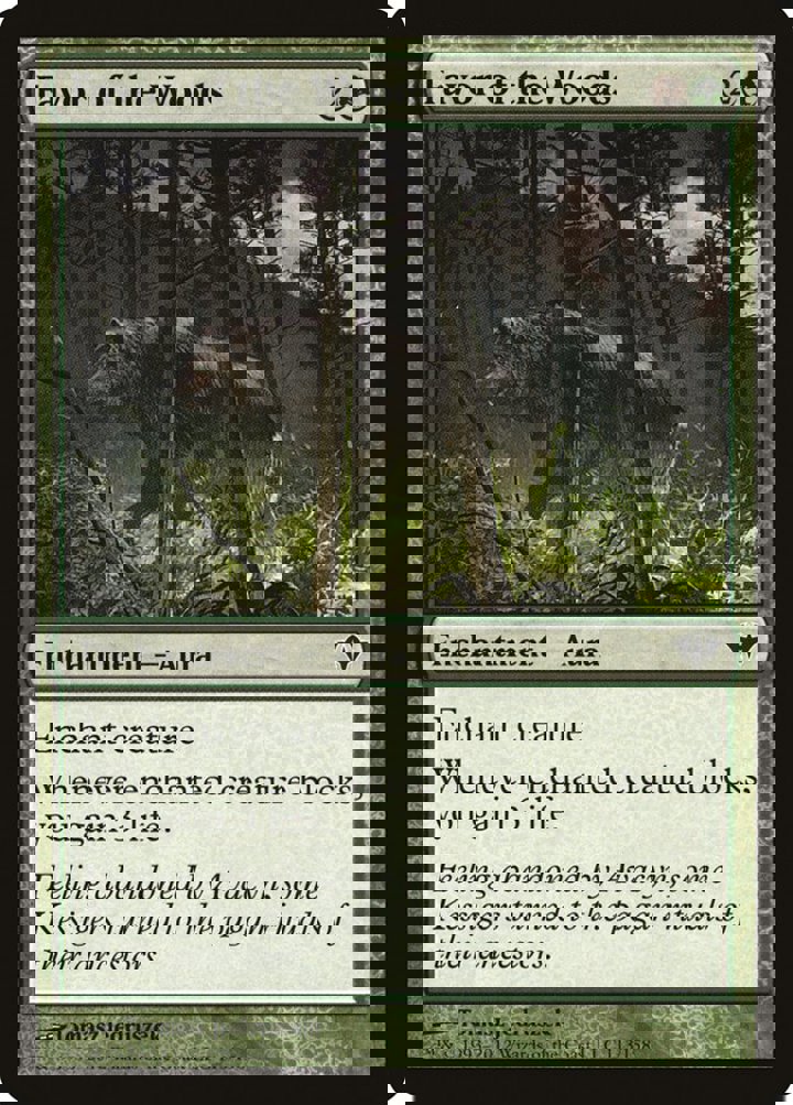 Favor of the Woods