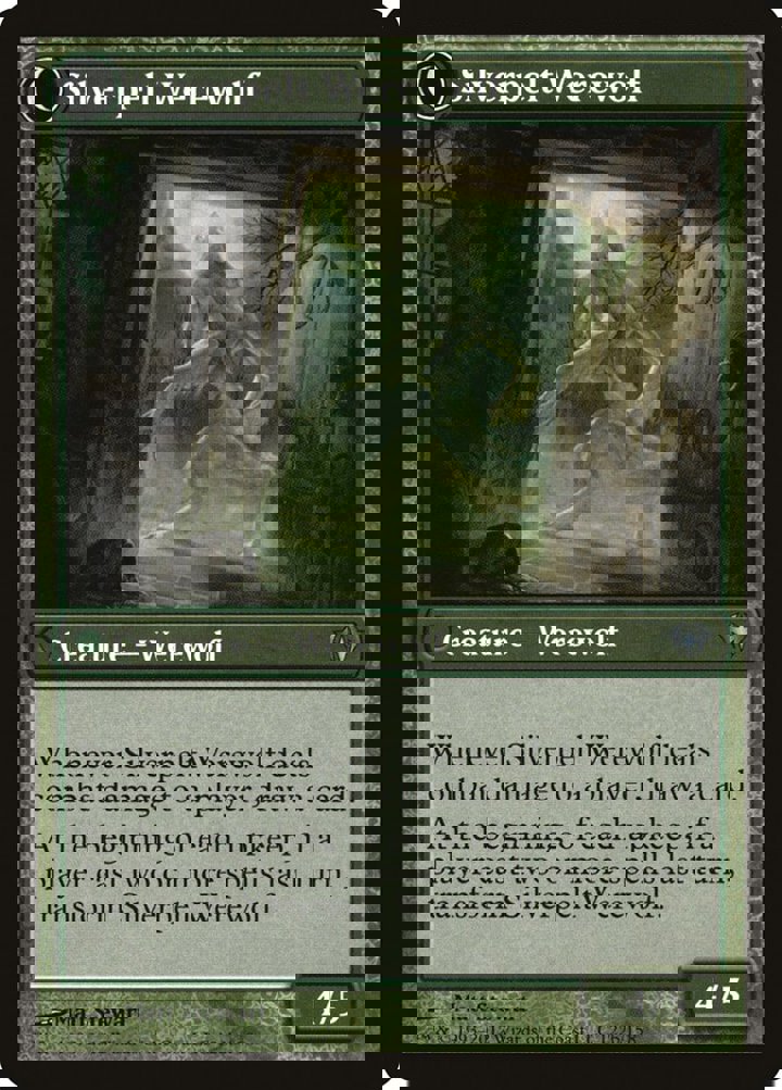 Lambholt Elder / Silverpelt Werewolf