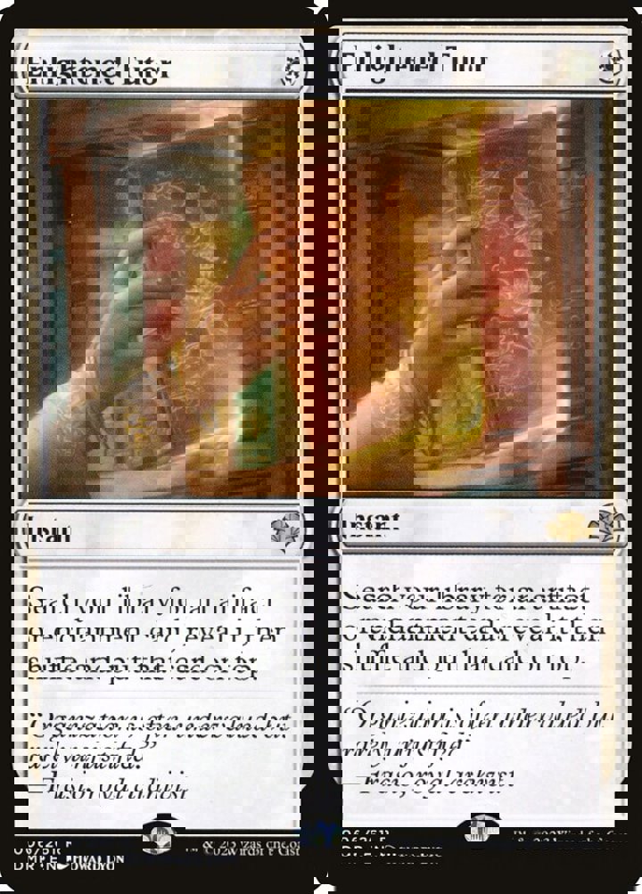 Enlightened Tutor