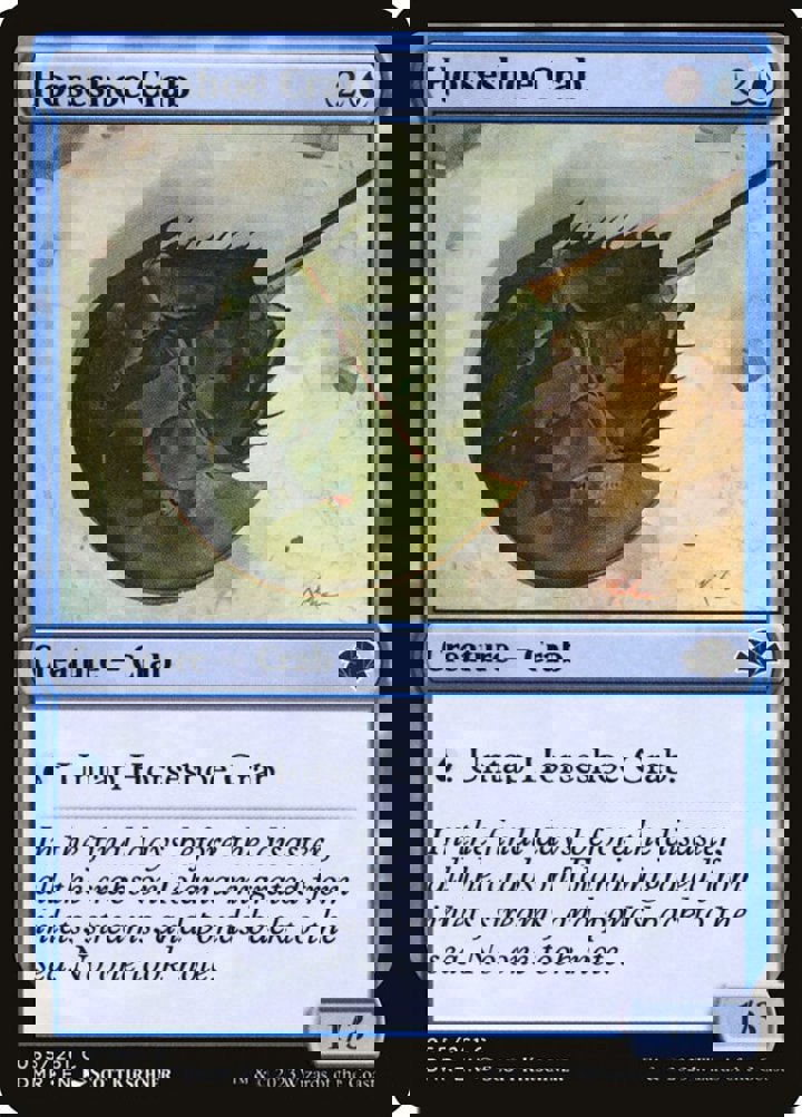 Horseshoe Crab
