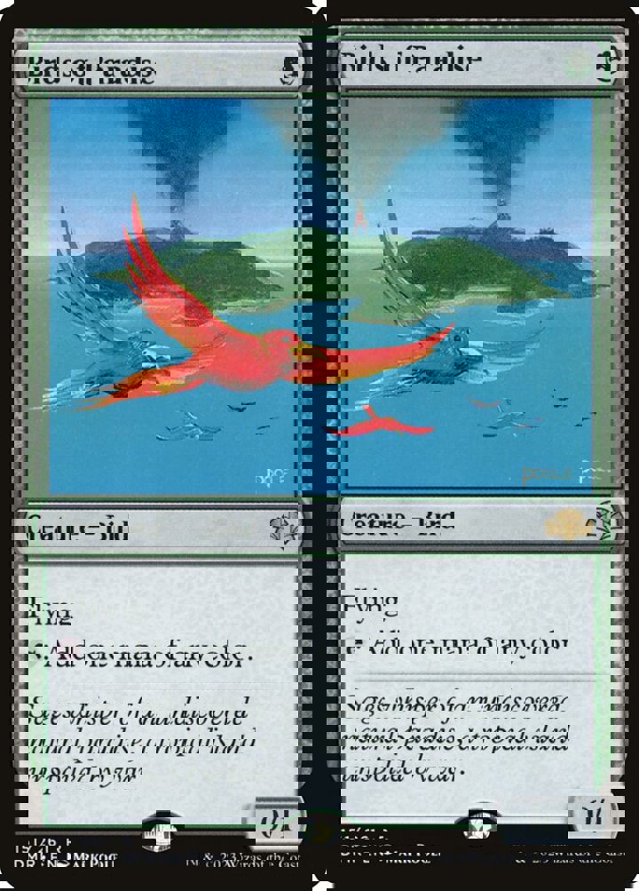 Birds of Paradise