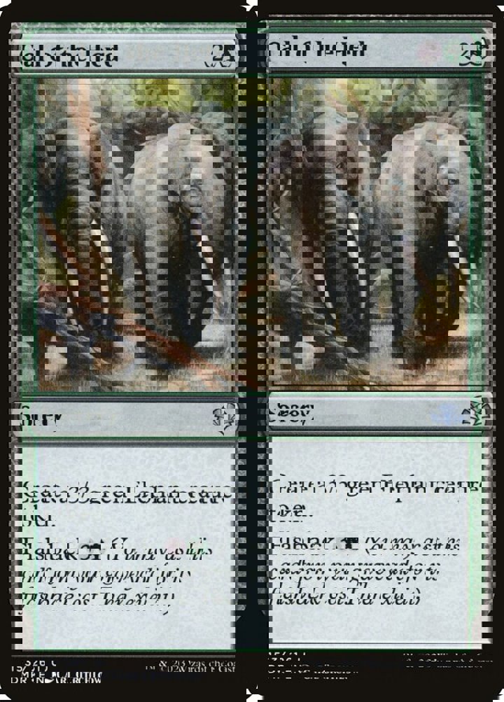 Call of the Herd