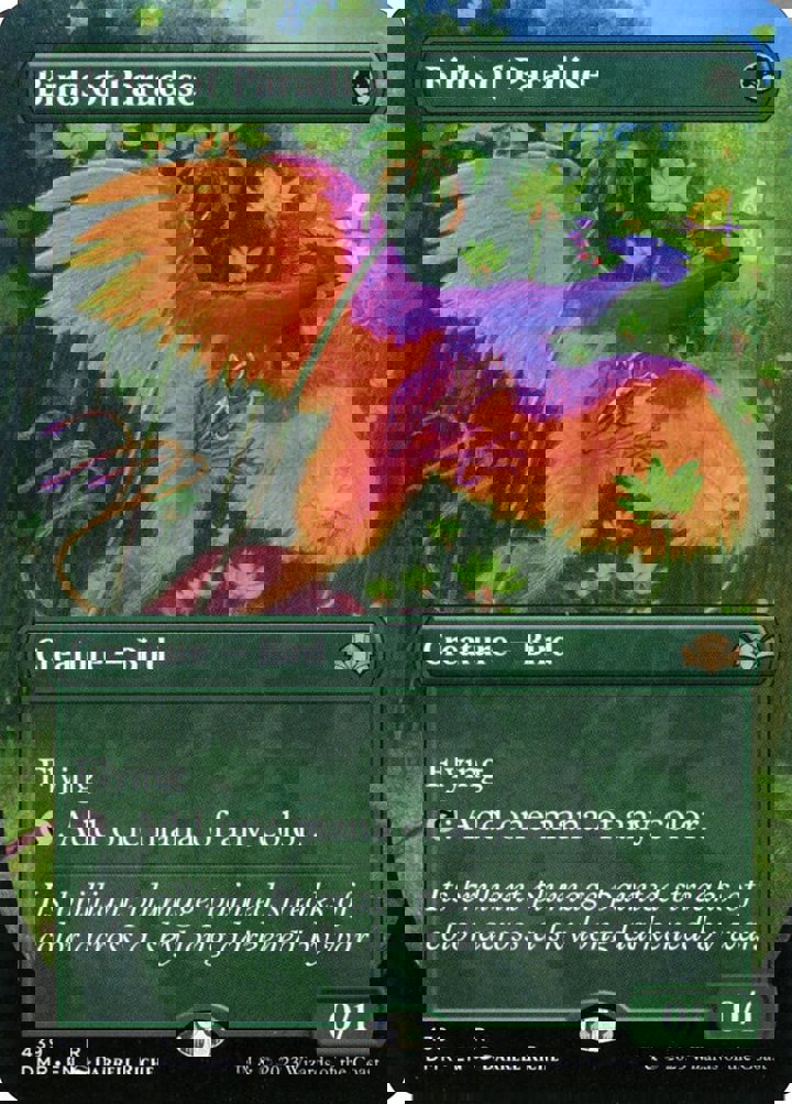 Birds of Paradise (V.2)