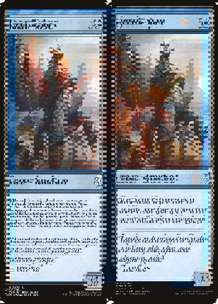 Homarid Explorer