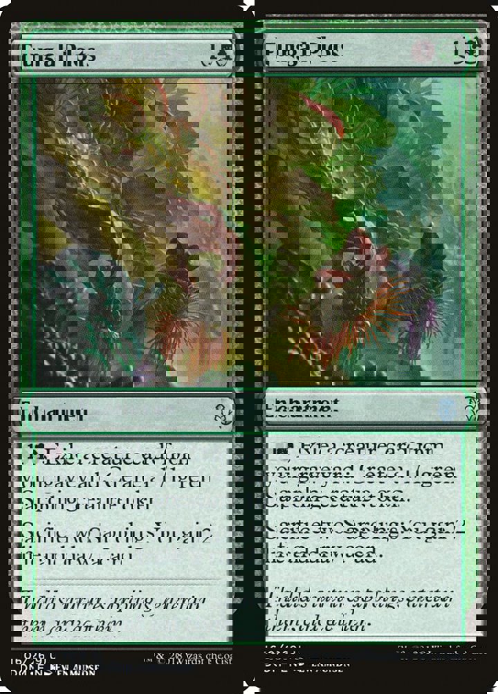 Fungal Plots