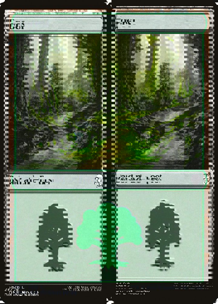 Forest (V.1)
