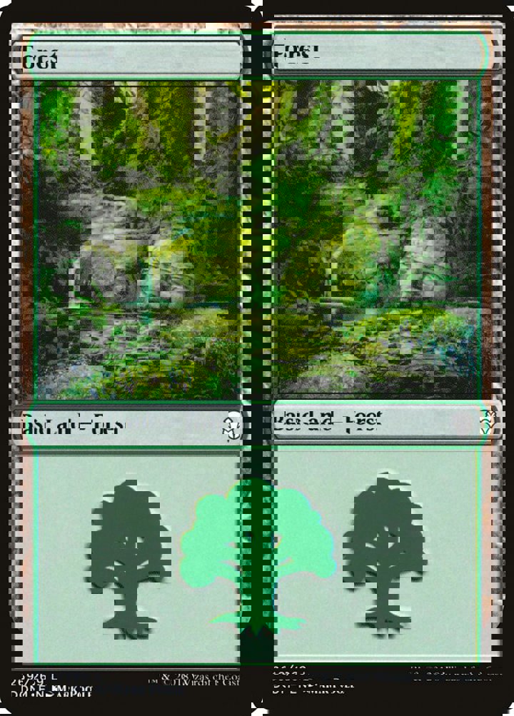 Forest (V.4)