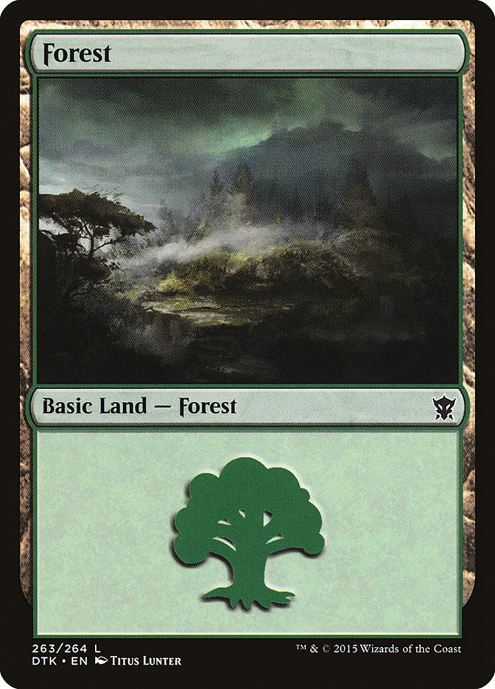 Forest (V.2)