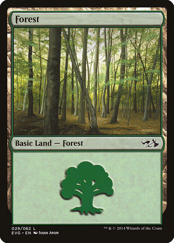 Forest (V.7)