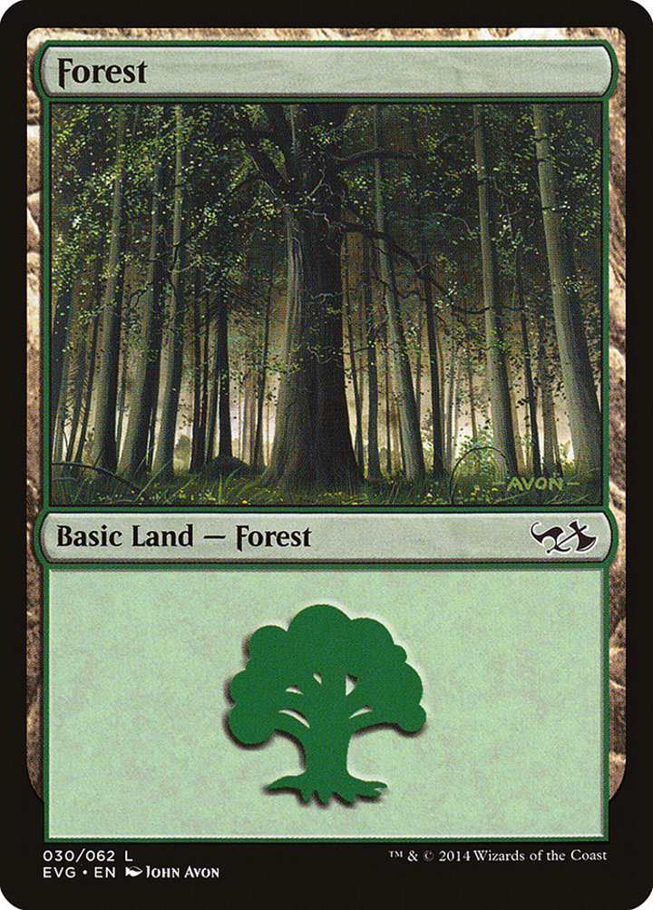Forest (V.8)