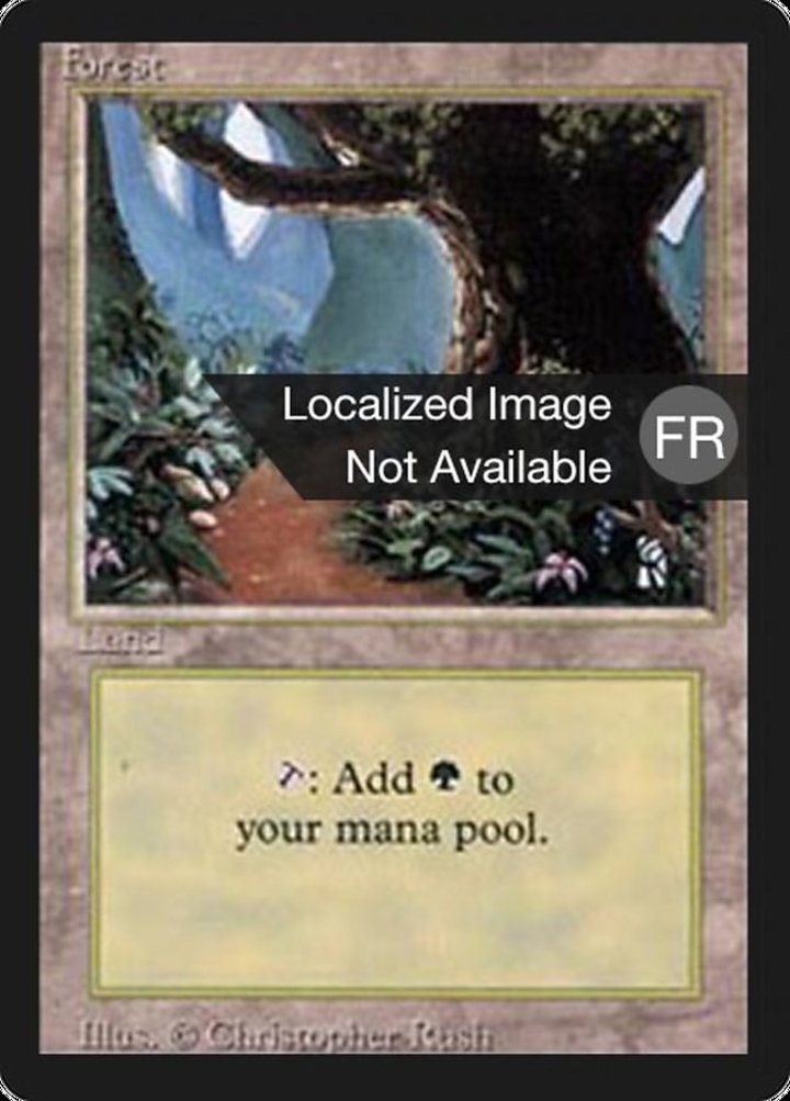 Forest (V.2)