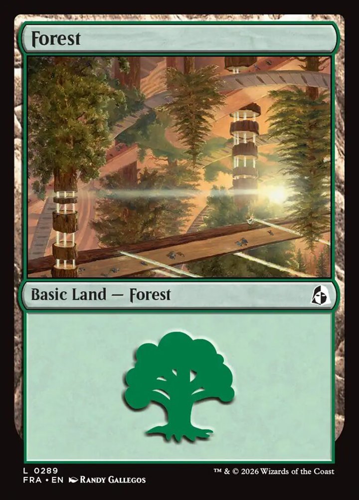 Forest (V.1)