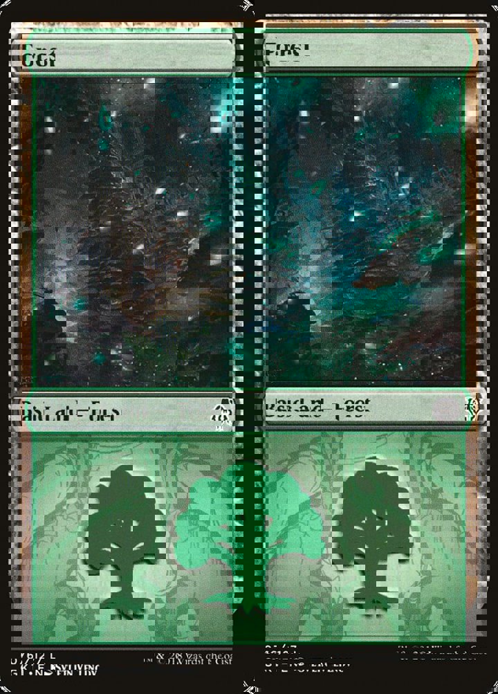 Forest (V.1)