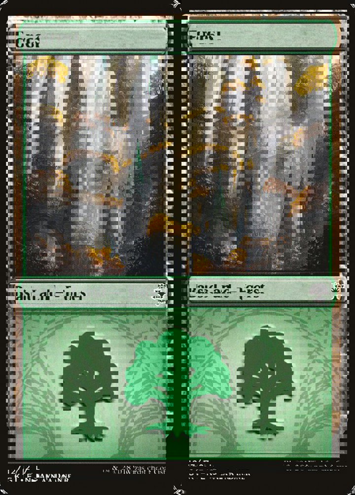 Forest (V.2)