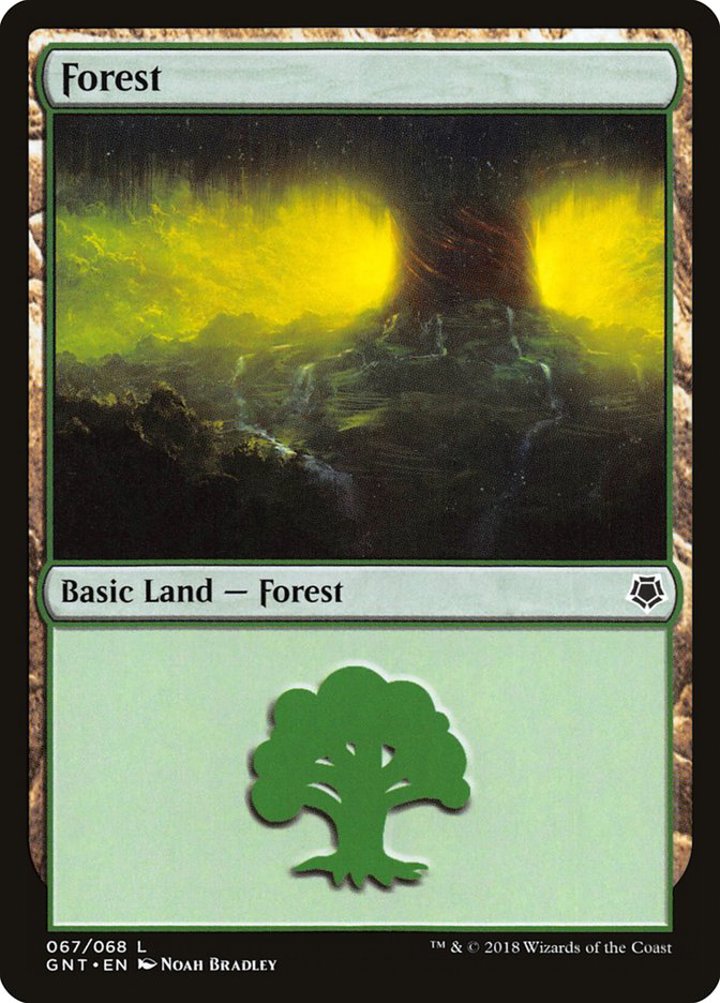Forest (V.1)