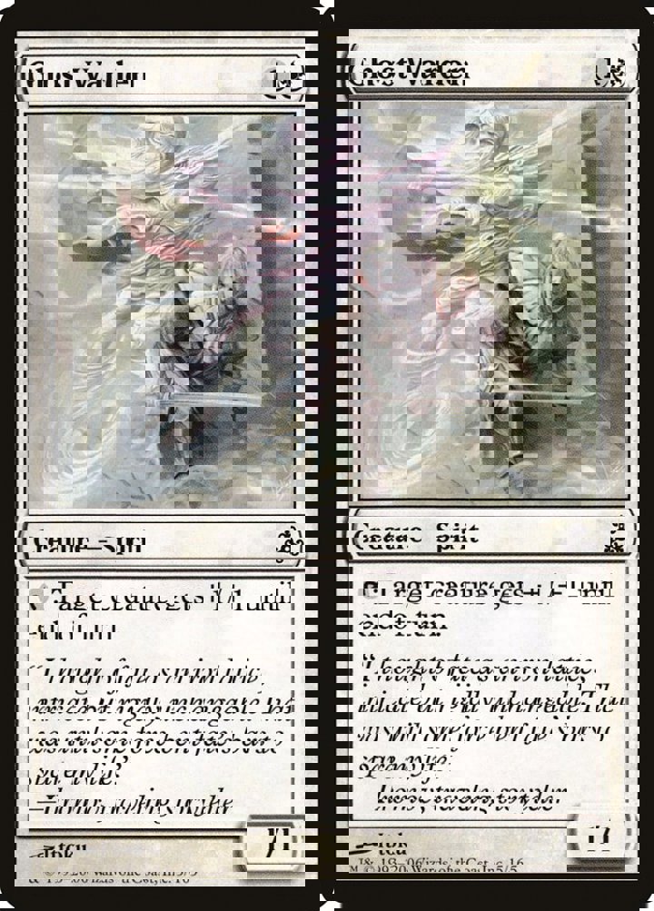 Ghost Warden
