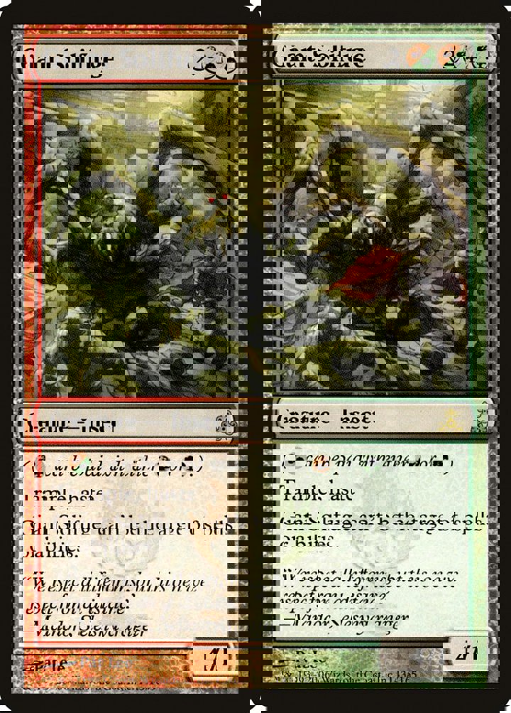 Giant Solifuge