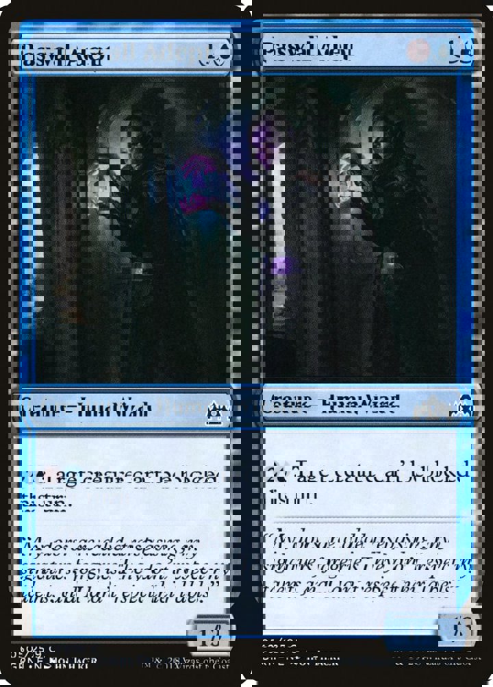 Passwall Adept