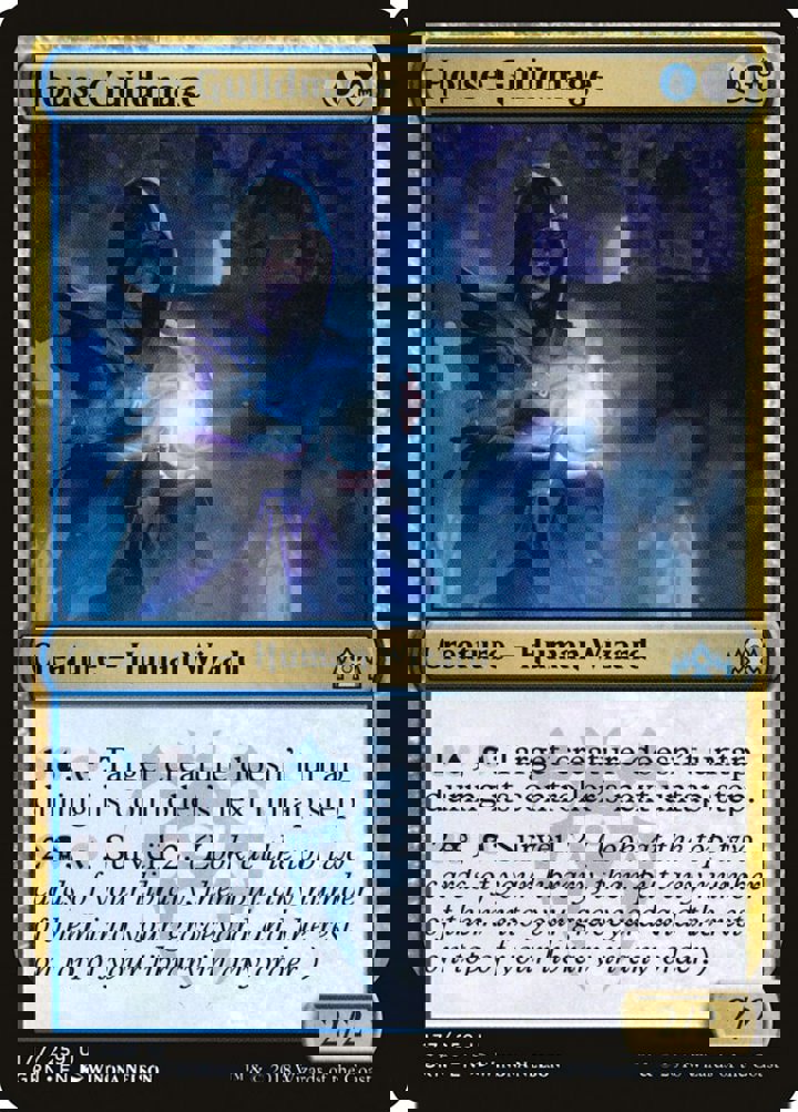 House Guildmage