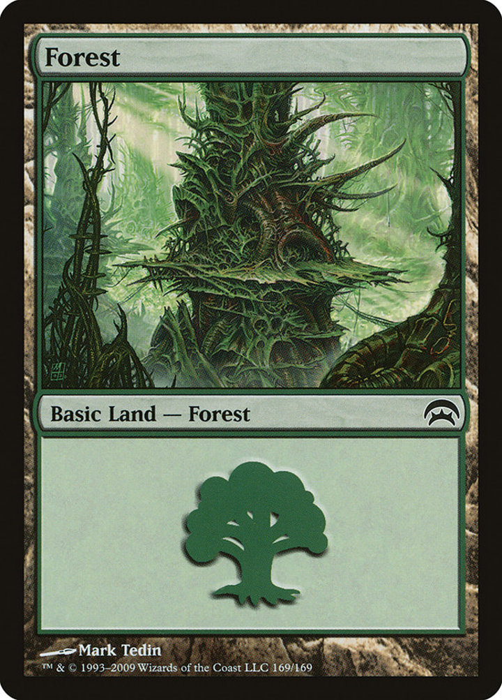 Forest (V.5)