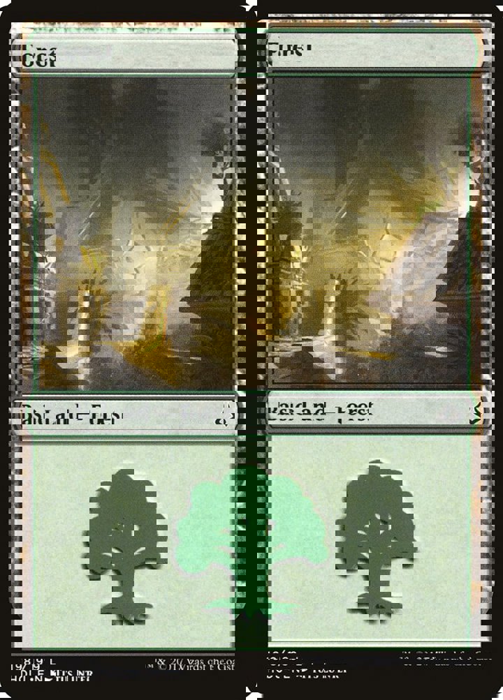Forest (V.2)