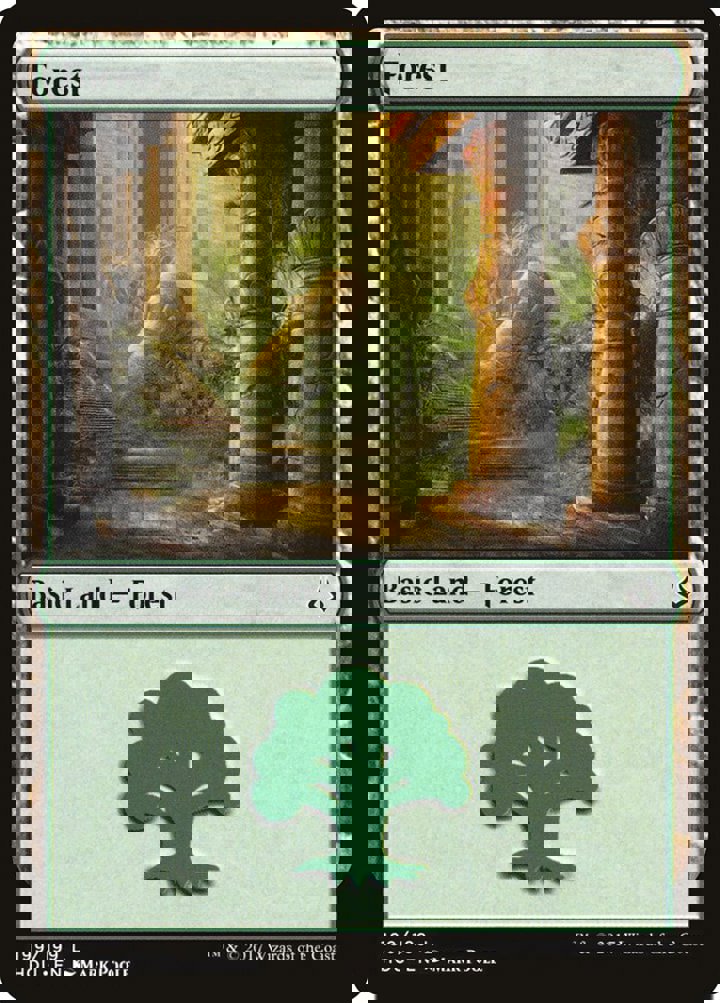 Forest (V.3)