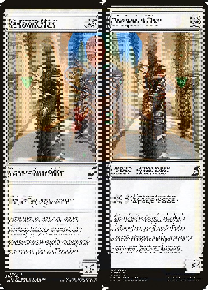 Checkpoint Officer