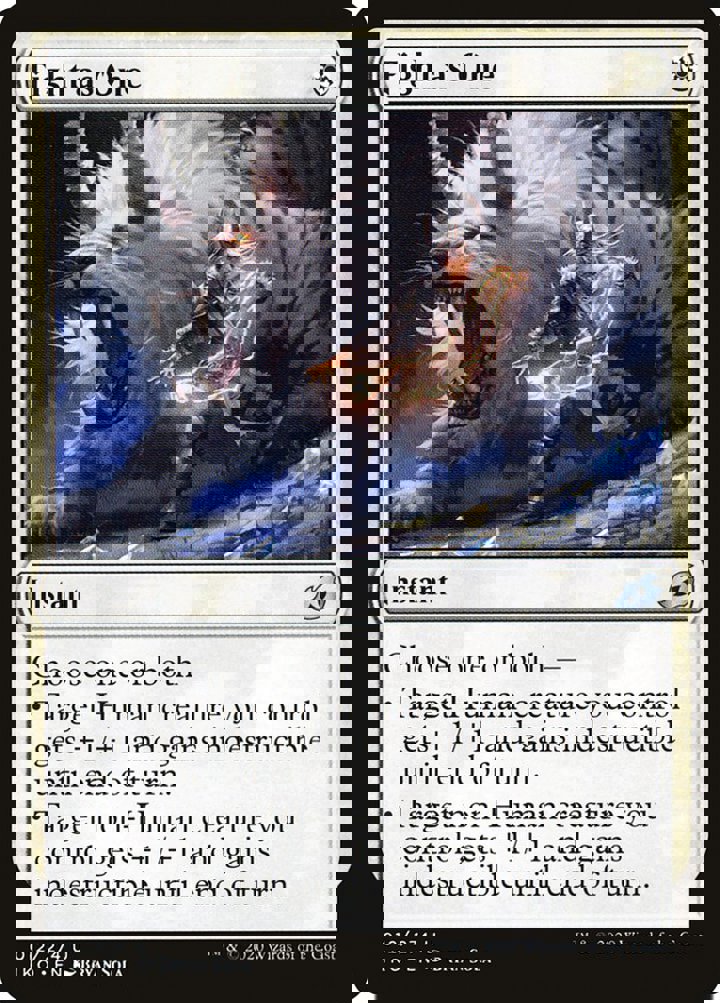 Fight as One