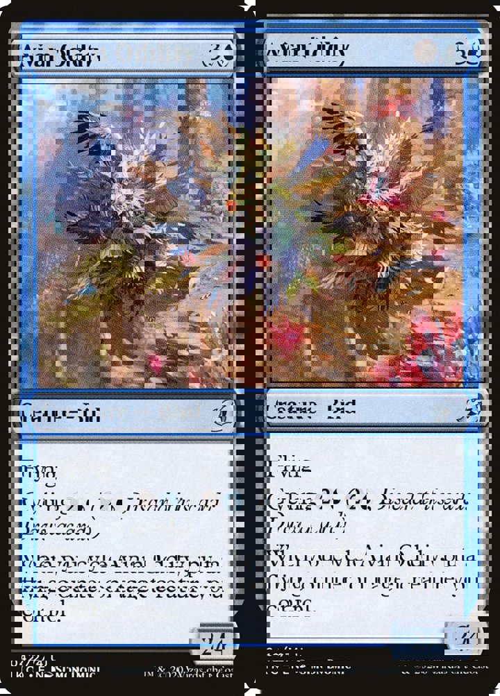Avian Oddity