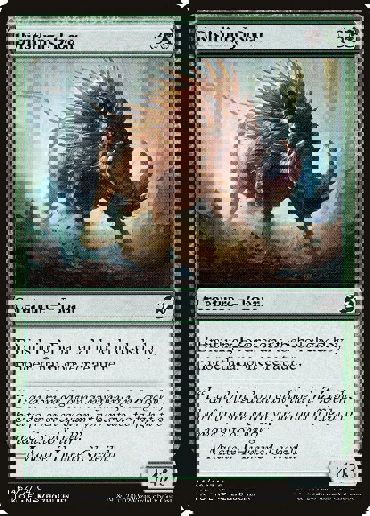 Bristling Boar