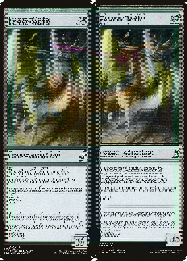 Flycatcher Giraffid