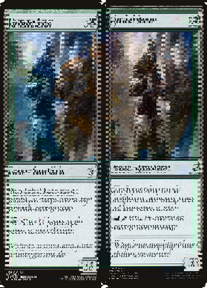 Hornbash Mentor