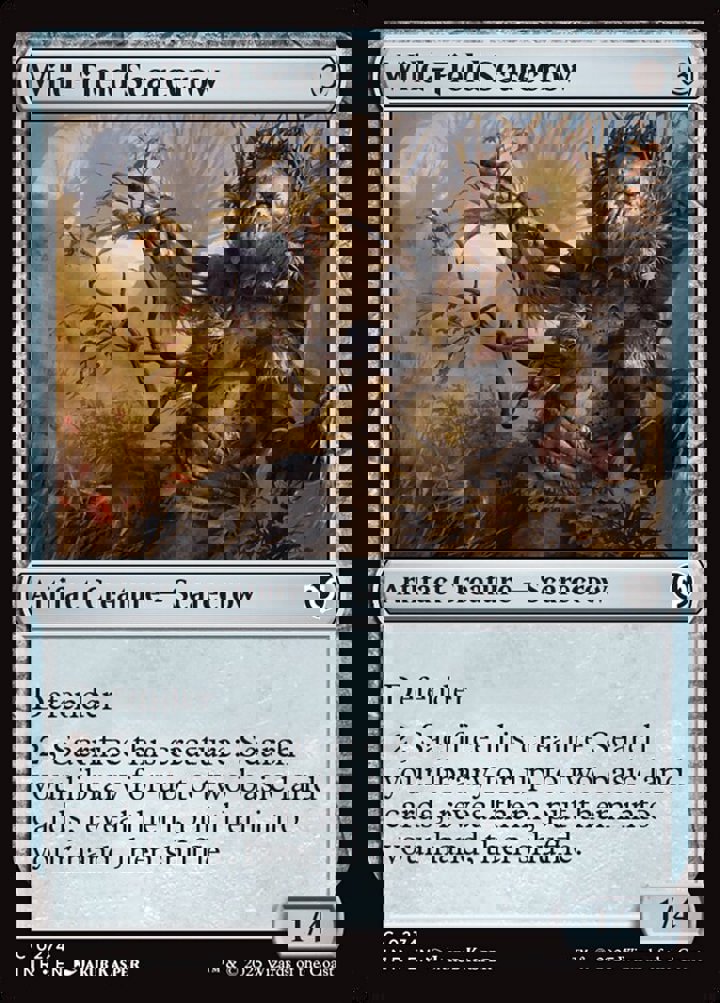 Wild-Field Scarecrow